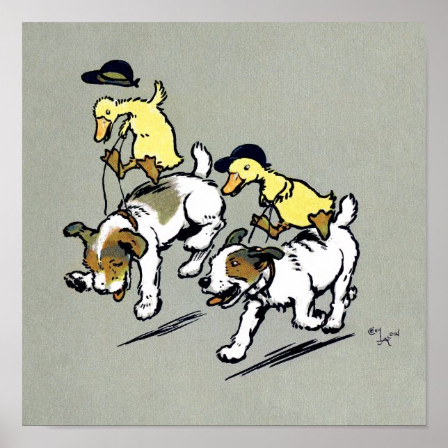Hund-ridande ankor poster (Framsidan)