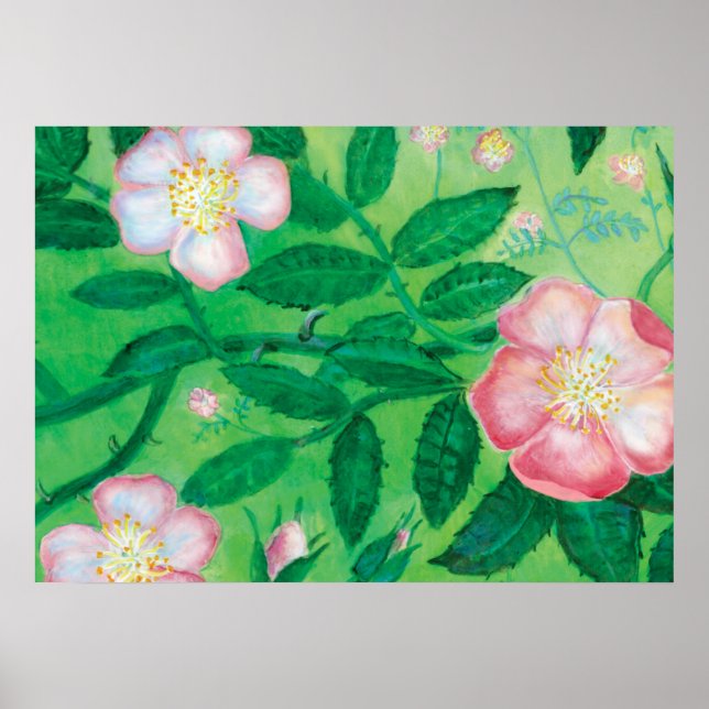 Hund Ro (Rosa Canina) Poster (Framsidan)