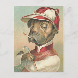hund Rökjockey-Vintagen Vykort