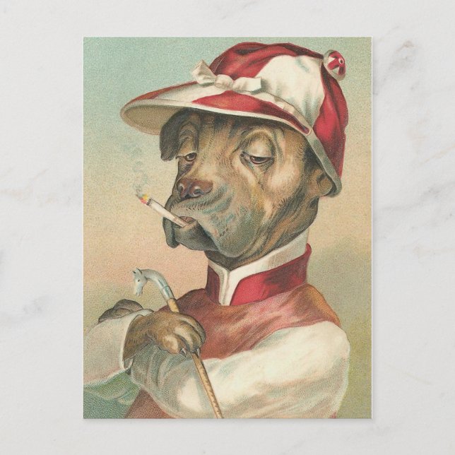 hund Rökjockey-Vintagen Vykort (Framsida)