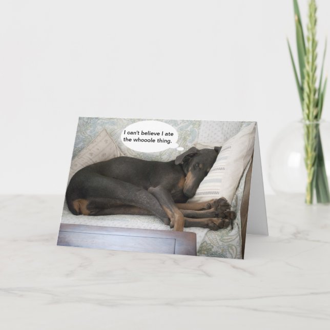 Hund roligt och få bra kort (Framsida)