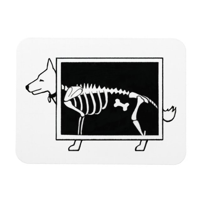 Hund röntgenstråle magnet (Horisontell)