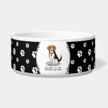 Hund Rotten Beagle (Tri färg 3)