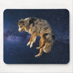 Hund Rymdhoppande Australian Shepherd Musmatta