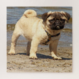 hund, sällskapsdjur, söt, djur, ras, pussel, valp, pussel