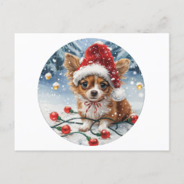 Hund Santa Chihuahua Santa Helg Vykort