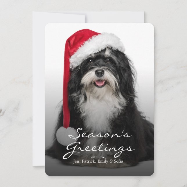 Hund Santa Havanese med Santa Hat Julkort (Framsida)