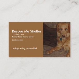 Hund Shelter Affärskort Visitkort