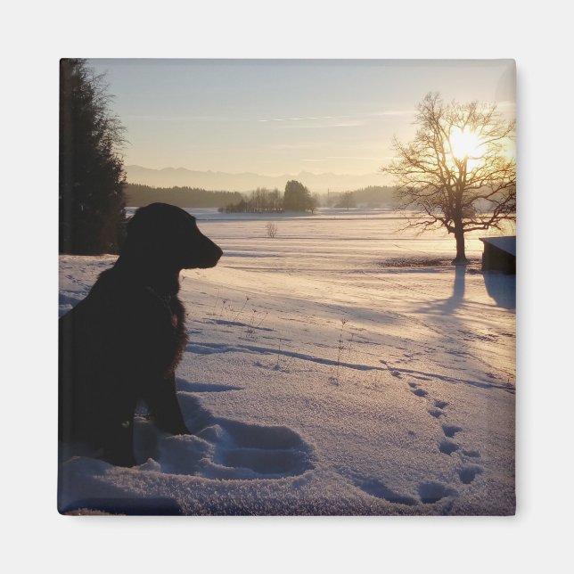Hund Silhouette i Snowy Ligcape Magnet (Framsidan)
