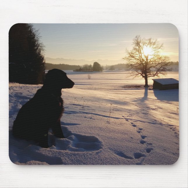 Hund Silhouette i Snowy Ligcape Musmatta (Framsidan)