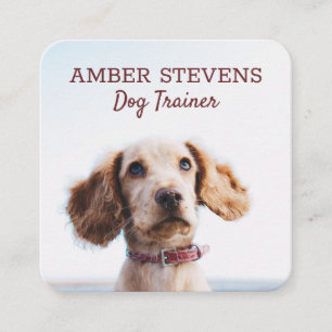 Hund Sitta Hund Trainer Fyrkantigt Visitkort