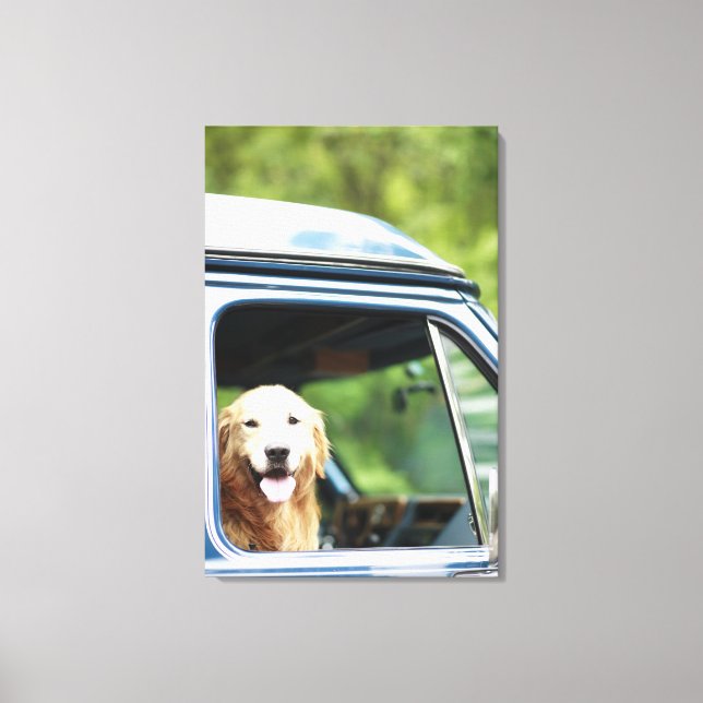 Hund Sitta i Car Canvastryck (Framsida)