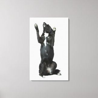 Hund sitta med tass uppåt canvastryck