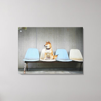 Hund sitta på bänk canvastryck