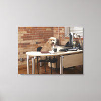 Hund Sitta vid Desk