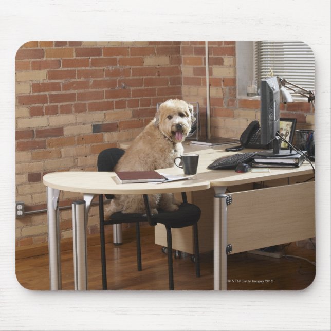 Hund Sitta vid Desk Musmatta (Framsidan)