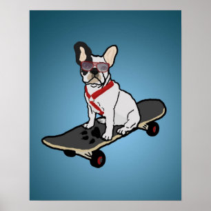 Hund Skateboarding Fransk Bulldog Poster