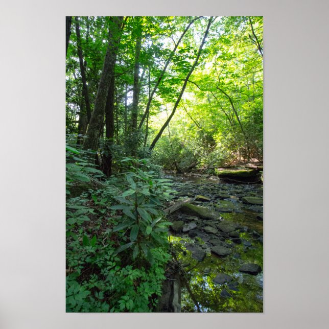 Hund Slakt Bäck, Kentucky Poster (Framsidan)