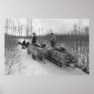 Hund Sled Delivery: 1900 Poster