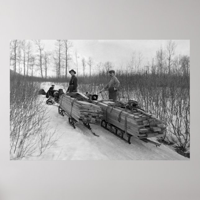 Hund Sled Delivery: 1900 Poster (Framsidan)