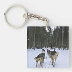 Hund Sledding i Quebec, Kanada