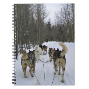 Hund Sledding i Quebec, Kanada Anteckningsbok