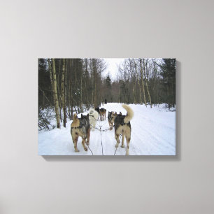 Hund Sledding i Quebec, Kanada Canvastryck