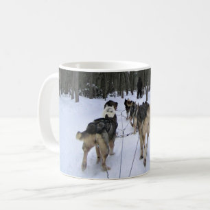 Hund Sledding i Quebec, Kanada Kaffemugg