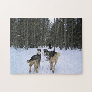 Hund Sledding i Quebec, Kanada Pussel