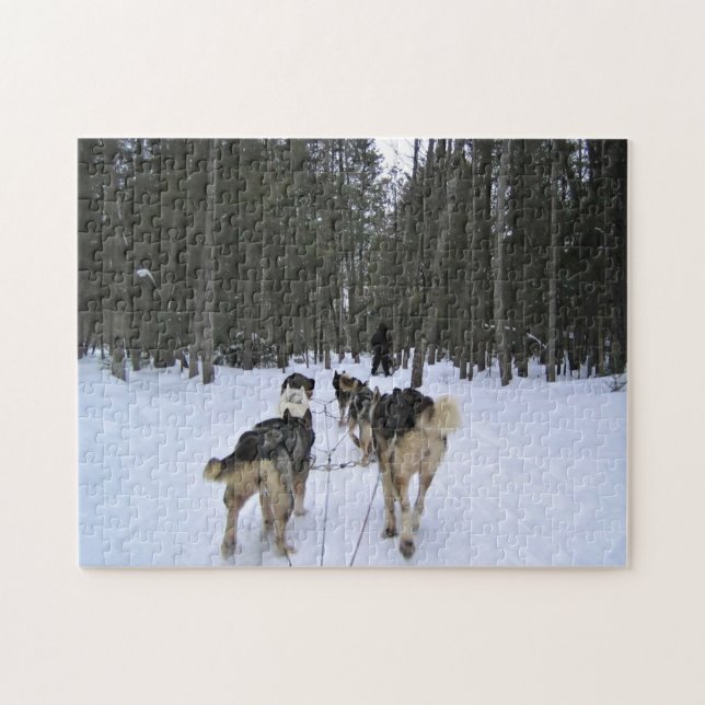 Hund Sledding i Quebec, Kanada Pussel (Horisontell)
