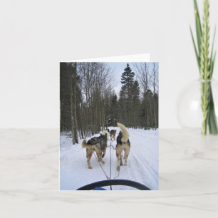 Hund Sledding i Quebec, Kanada Tack Kort