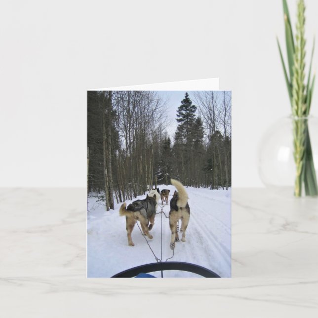 Hund Sledding i Quebec, Kanada Tack Kort (Framsida)
