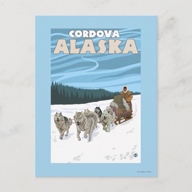 Hund Sledding Scene - Cordova, Alaska Vykort (Framsida)