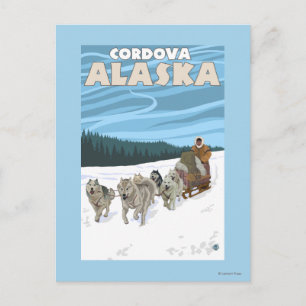Hund Sledding Scene - Cordova, Alaska Vykort