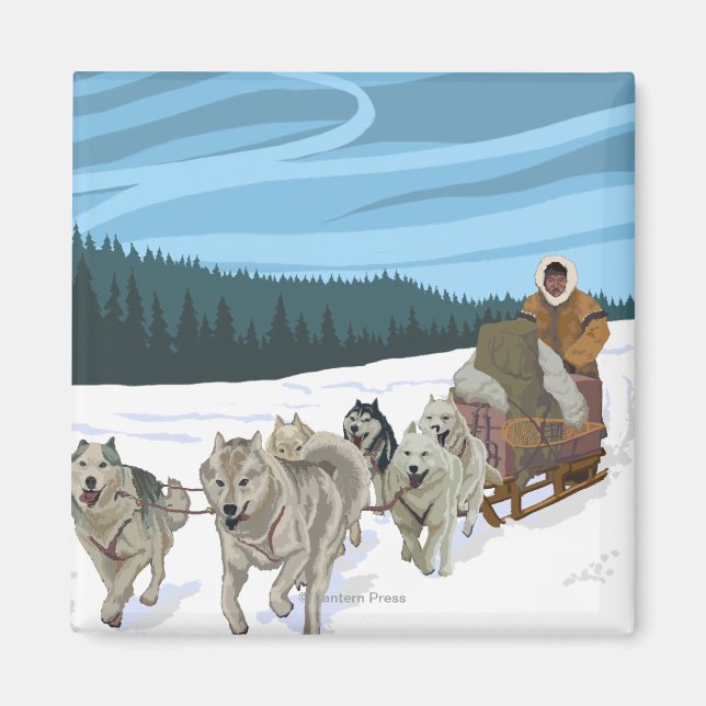 Hund Sledding Scene - Fairbanks, Alaska Magnet (Framsidan)
