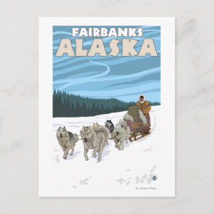 Hund Sledding Scene - Fairbanks, Alaska Vykort