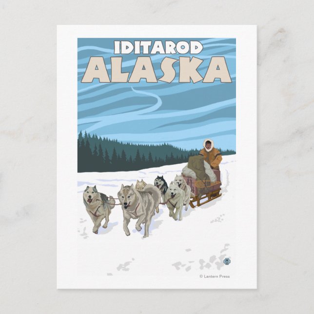 Hund Sledding Scene - Iditarod, Alaska Vykort (Framsida)
