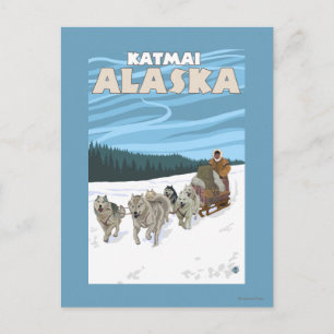 Hund Sledding Scene - Katmai, Alaska Vykort
