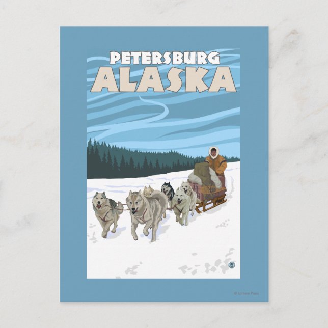 Hund Sledding Scene - Petersburg, Alaska Vykort (Framsida)