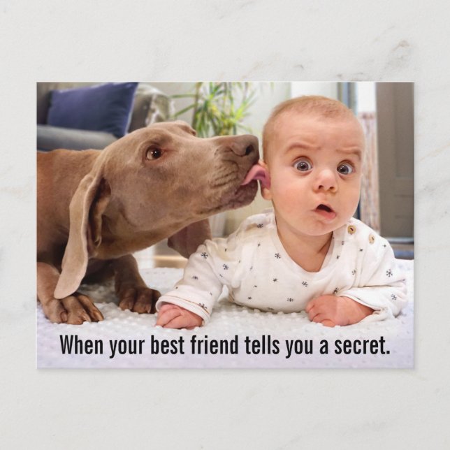 Hund Slickande Baby Ear Inbjudan Vykort (Framsida)