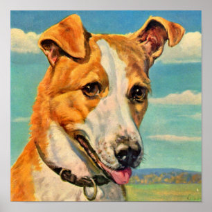 hund snygg hund poster