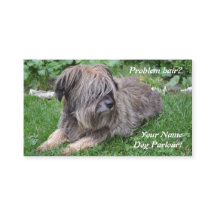 Hund som ansar den håriga sheepdogen