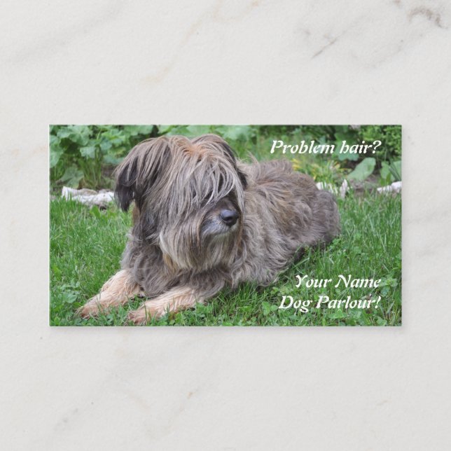 Hund som ansar den håriga sheepdogen visitkort (Framsida)