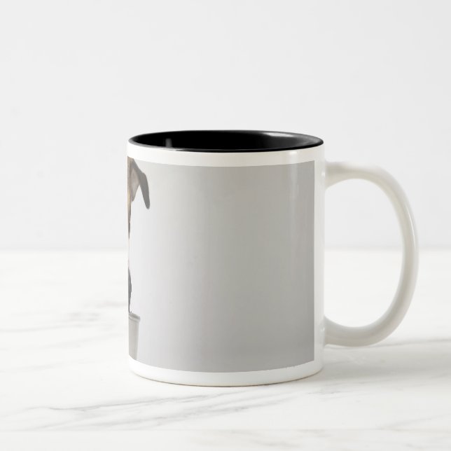 Hund som äter från bunken Två-Tonad mugg (Höger)