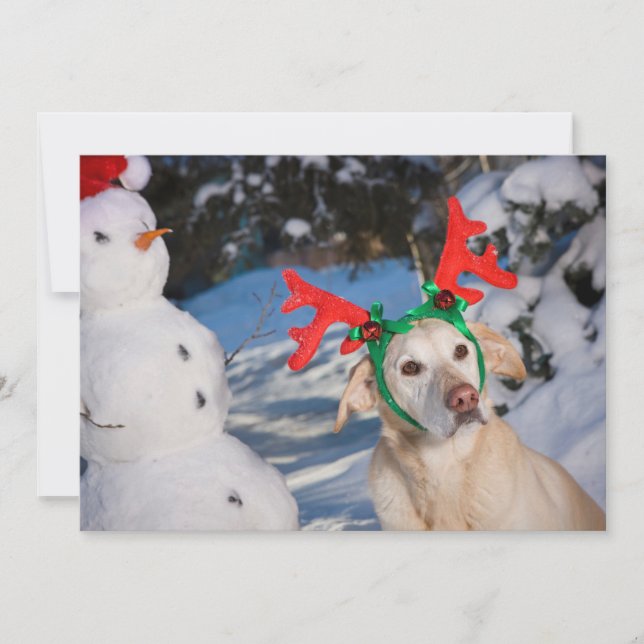 Hund som bär renhorn julkort (Framsida)