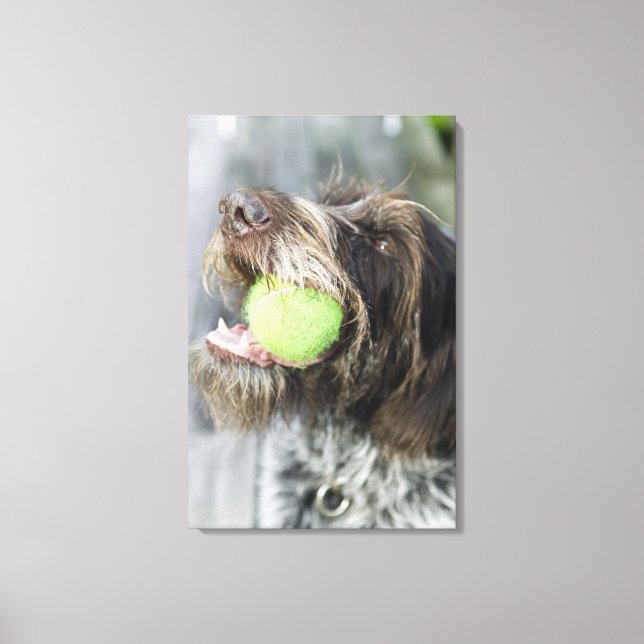 Hund som biter tennis boll, närbild canvastryck (Framsida)