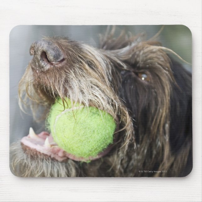 Hund som biter tennis boll, närbild musmatta (Framsidan)