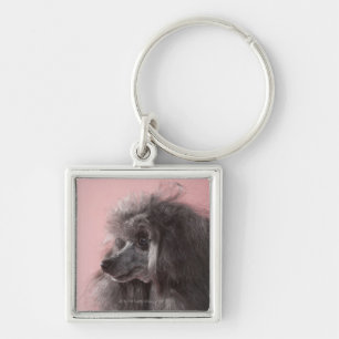 Hund som bort tittar fyrkantig silverfärgad nyckelring