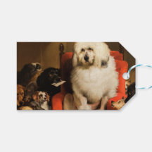 Hund som domare som upprättar lag i domstol