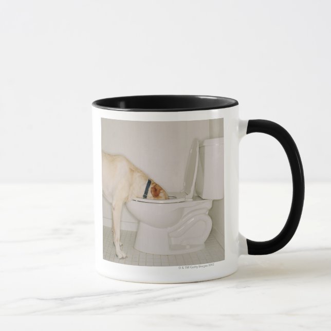 Hund som dricker ut ur toalett mugg (Höger)